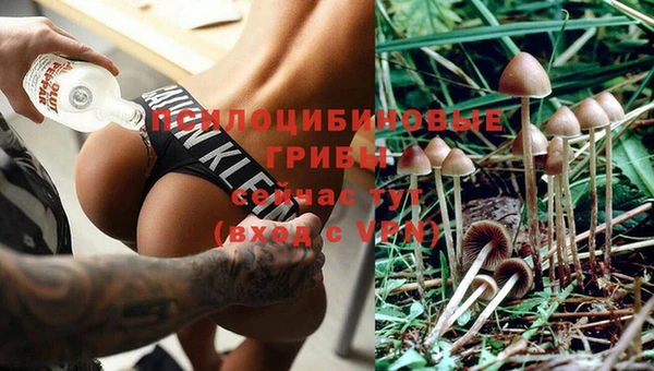 крисы Навашино