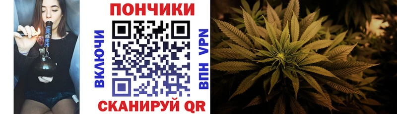 kraken рабочий сайт Разумное Шишки марихуана сатива